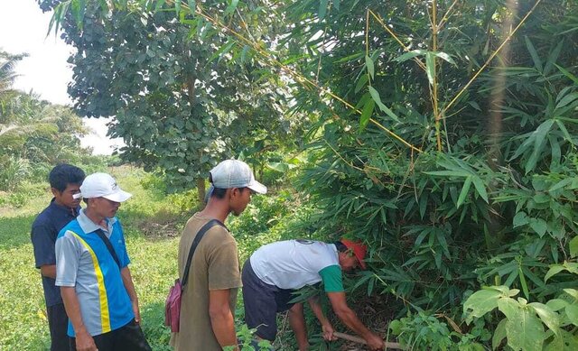 Eksplorasi Langkah Awal Pengembangan APH Spesifik Lokasi Pilar Pertanian