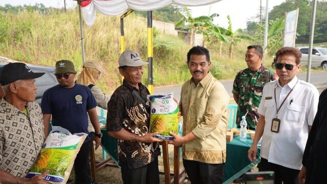 Fokus Tingkatkan Produksi Padi Kementan Lakukan Percepatan Tanam Di