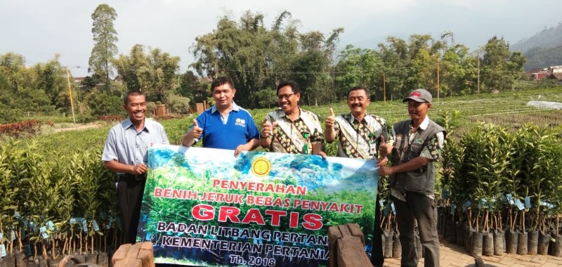 Pusat Unggulan IPTEK PUI Kelapa, Balit Palma Bersinergi Dengan PUI Jeruk, Balitjestro Dalam Pengembangan Jeruk Diantara Kelapa