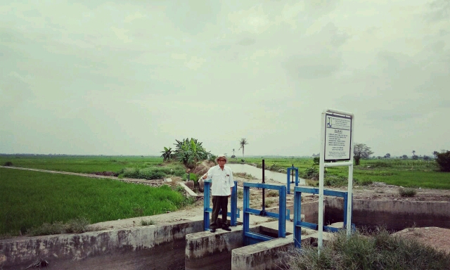 Mini Polder Tingkatkan Produksi Padi dan  Pendapatan Petani Lahan Rawa Lebak