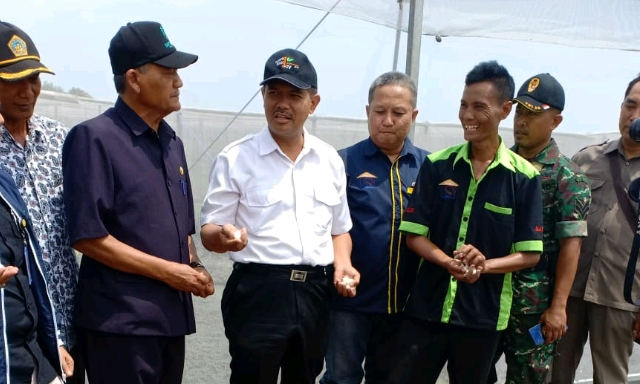 Kementan Dorong Nganjuk Penyangga Bawang Merah Nasional