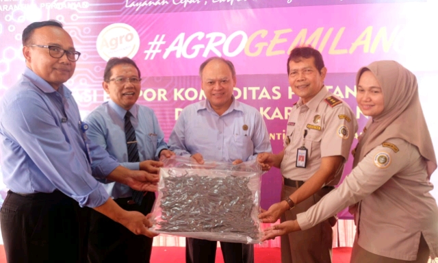 Pertama Kali, Kementan Lepas Vanili dari Yogya ke Amerika Serikat