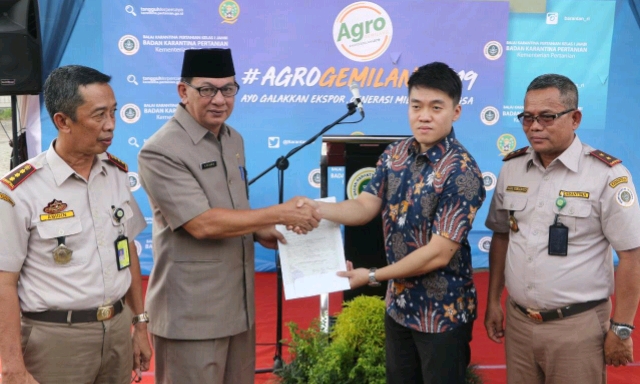 108 Ton Lidi Nipah Jambi Di Ekspor Hingga India