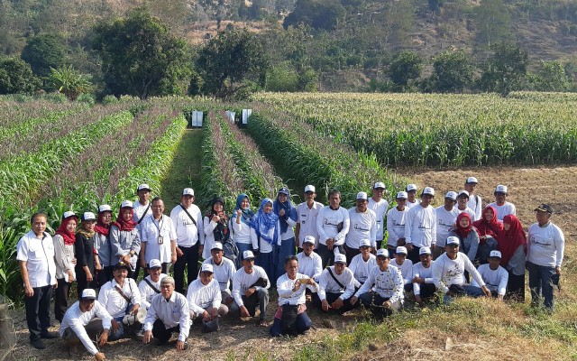 Maksimalkan Lahan Tingkatkan Produktivitas