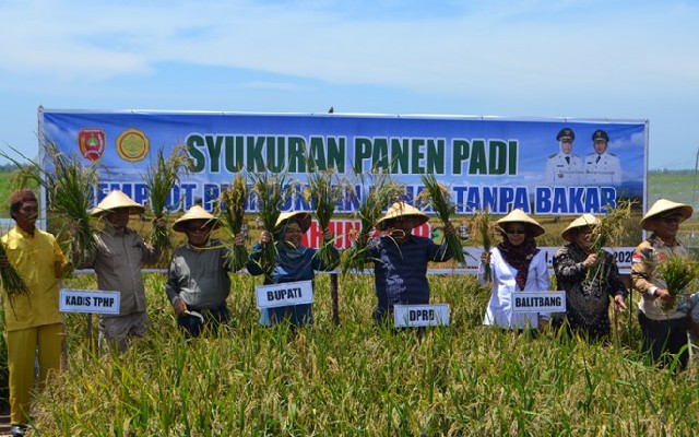 Balitbangtan Kenalkan Teknologi Penyiapan Lahan Tanpa Bakar Ke Petani Kalteng