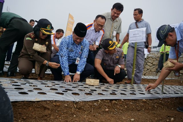 Gelar Tanam Serempak, Temanggung Siap “GEDOR” Bawang Putih Nasional