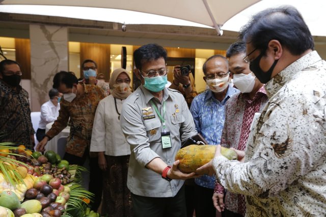 Tingkatkan Laju Ekspor, Kementan Fokus Budidaya Buah Nasional