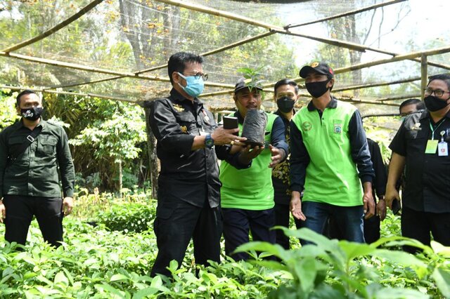 Mentan Syahrul Dorong Kabupaten Malang Jadi Penghasil Bibit Alpukat Berkualitas