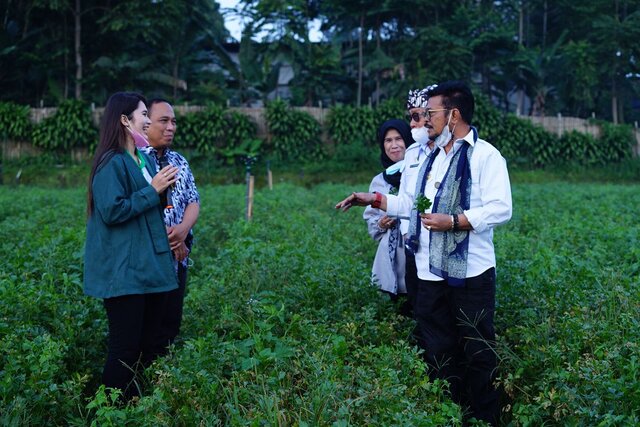 Kunjungi Petani Milenial Bandung, Mentan Minta Pengembangan Produksi Hingga Pascapanen