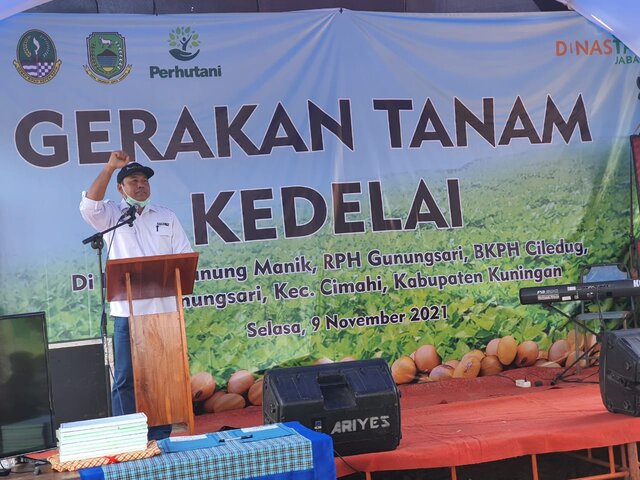 Kementan Pacu Tanam Kedelai Manfaatkan Lahan Sekitar Hutan Di Kuningan