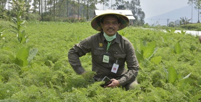 Kementan Gencarkan Hilirisasi Komoditas Singkong Bernilai Jual Tinggi