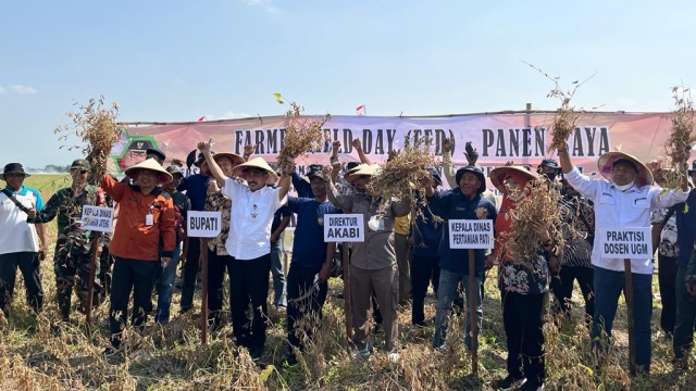 Peringati Hari Kemerdekaan RI yang ke 77, Kementan Adakan Gerakan Panen Kedelai di Kabupaten Pati