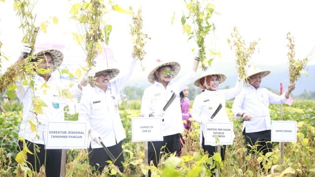 Mentan SYL Lakukan Panen Kedelai Produktivitas Tinggi Di Banten