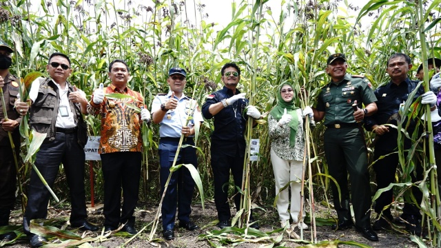 Mentan SYL Pacu Petani Sorgum Kabupaten Jombang