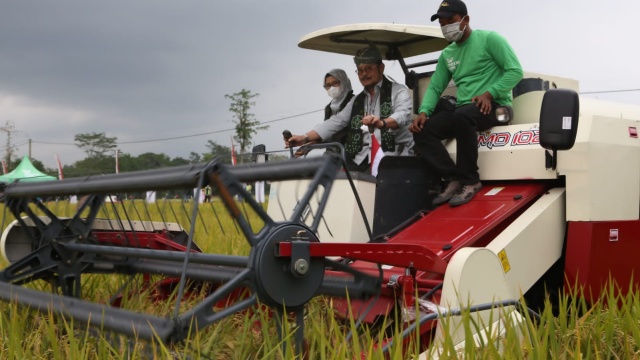 Peringati Hari Pahlawan, Mentan SYL Panen Padi Aplikasi Biosaka di Blitar