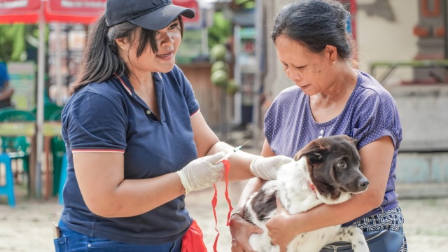 Bali Kendalikan PMK dan Rabies, Siap Sukseskan KTT G20 Mendatang