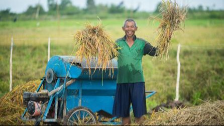 Food Estate Kalteng Diperkuat Kelembagaan dan Hilirisasi Pertanian