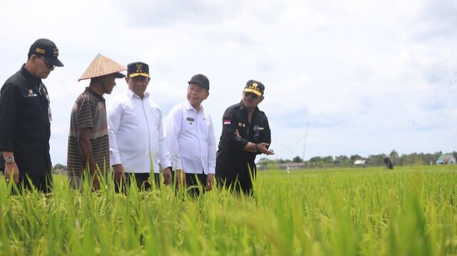 Mentan SYL Pastikan Food Estate Kalteng Berkembang, Produktivitas Padi Capai 5 Ton Per Ha