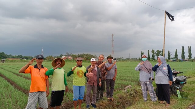 Pasokan Cabai dan Bawang Merah Banyuwangi Aman Menjelang Ramadhan dan Lebaran Tahun 2023