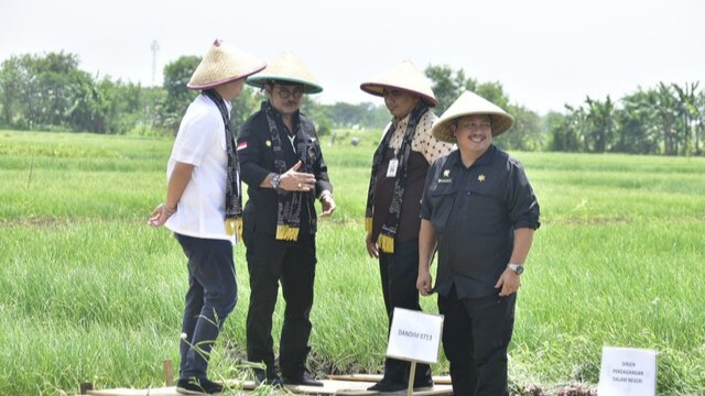 Sambut HBKN, Kementan dan Kemendag Sinergi Amankan Stok dan Harga Bawang Merah