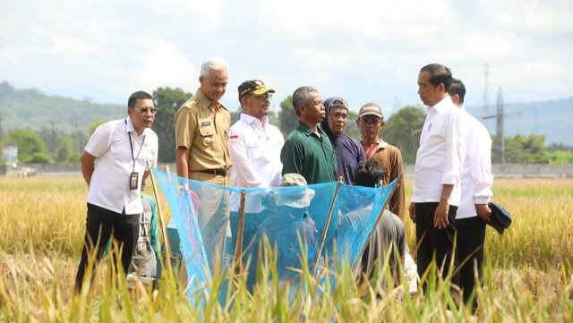 Bupati Kebumen: Terima Kasih Pak Mentan, Bantuan Bermanfaat Naikkan Produksi Padi