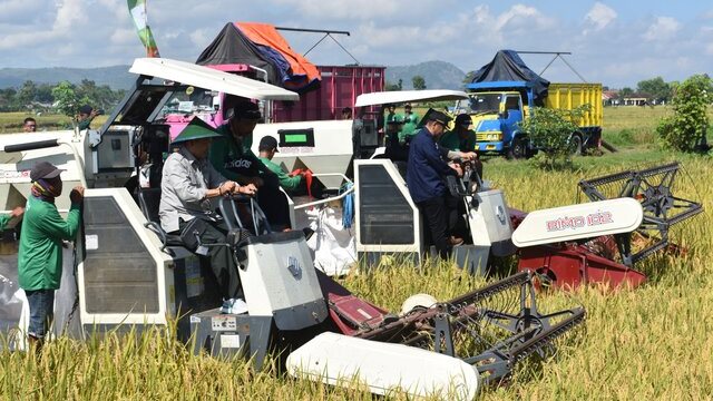 Kementan Lanjutkan Gerakan Panen Padi Nusantara 1 Juta Ha Di Tulungagung