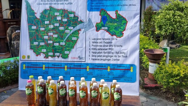 Biosaka Bikin Petani Untung Dari Komoditas Padi, Jagung Sampai Kacang Panjang