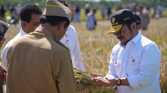 Panen Padi IP 400 Dengan Aplikasi Biosaka Sukses, Produktivitas Petani Klaten Meningkat