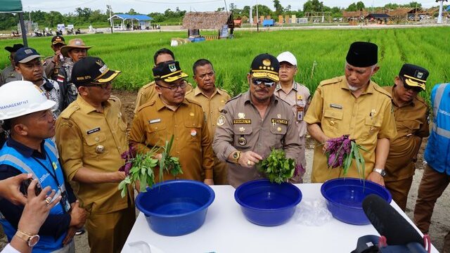 Hasil Penelitian BSIP Soal Biosaka Sangat Prematur