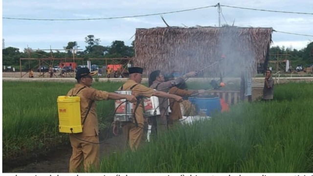 Budidaya Padi Zero Waste Plus Biosaka, Budidaya Efisien Dan Produktif Ramah Lingkungan