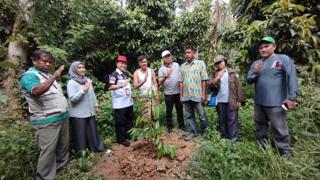 Kolaka Siap Menjadi Kampung Durian Ramah Lingkungan