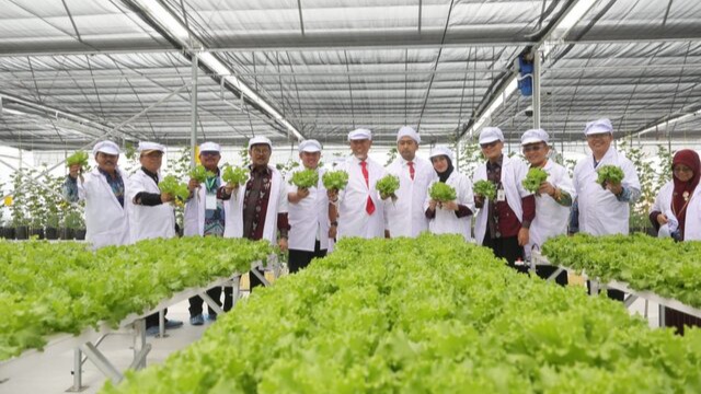 Smart Green House : Teknologi Masa Depan Ramah Lingkungan dan Tinggi Produktivitas