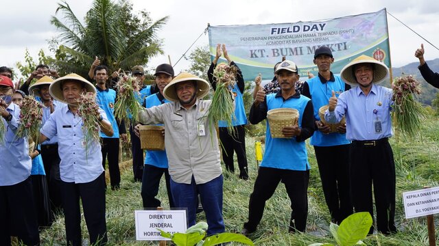 Terapkan PHT, Cara Jitu Kementan Genjot Produksi Bawang Merah Hingga Capai 20 Ton/Hektare