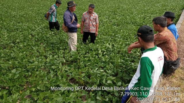 Sekali Mendayung 2 Pulau Terlampaui, BBPOPT Lakukan Bakti Tani Di Sukoharjo Dan Klaten