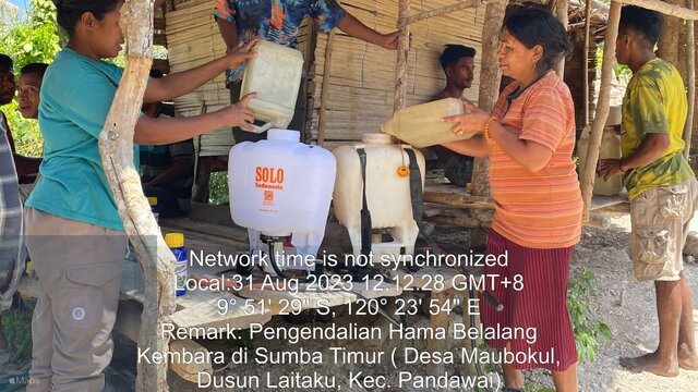 Sinergi Berbagai Pihak Dalam Mengatasi Hama Belalang Kembara Melalui Mapping dan Pengendalian di Pulau Sumba