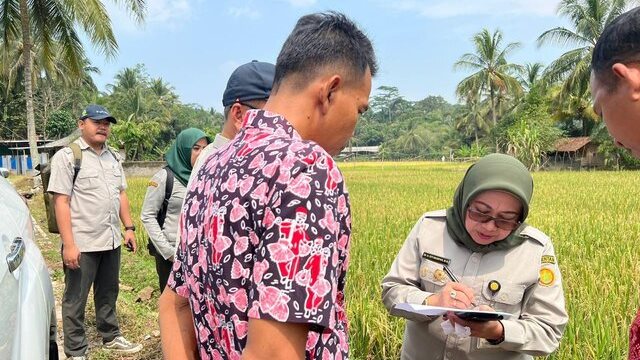 Hadapi El Nino, Kementan Siagakan Penyuluh Pandeglang