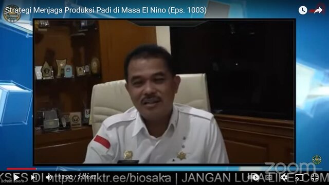 Strategi Kementan Amankan Produksi Padi di Masa El Nino