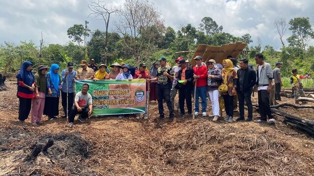 Dukung Peningkatan Produksi Nasional, Bengkulu Lakukan Gerakan Tanam Kedelai