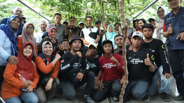 Hari Minggu, Mentan Amran Turun Tinjau Petani Anggur di Palu