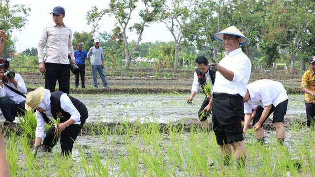 HIMA IPB: Kami Dukung Kementan Optimalkan Lahan Rawa Jadi Lahan Produktif