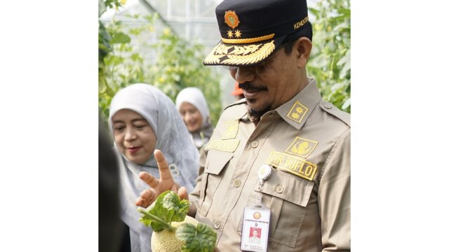 Panen Perdana Melon Intanon Cianjur, Kementan: Melon Premium Keuntungan 100%