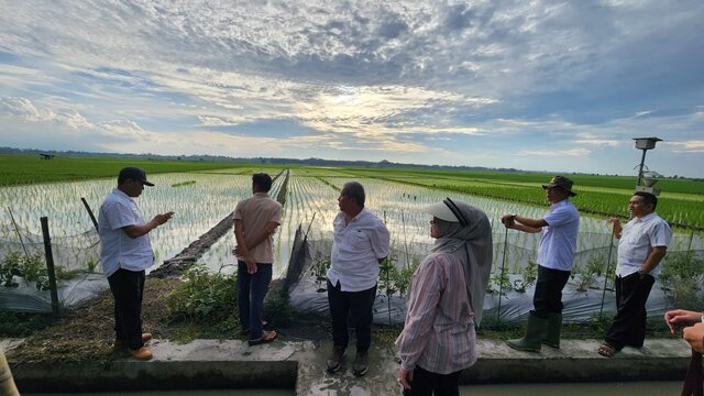 Optimalisasi Lahan di Lampung, Kementan-TNI Terjun ke Lapangan Setiap Hari