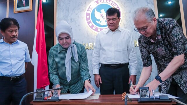 Perdana 2024, Indonesia Ekspor Mangga Gedong Gincu ke Jepang Senilai Rp 140 Miliar