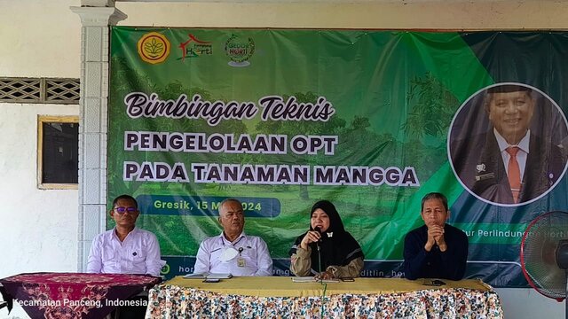 Direktorat Jenderal Hortikultura Bersama Petani Menemukan Teknologi Melawan Hama pada Buah Mangga