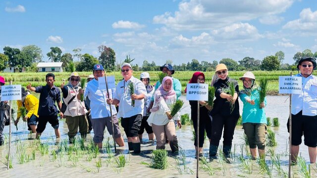 Dukung PAT di Kalsel, Kementan dan Petani Lakukan Tanam Padi Bersama