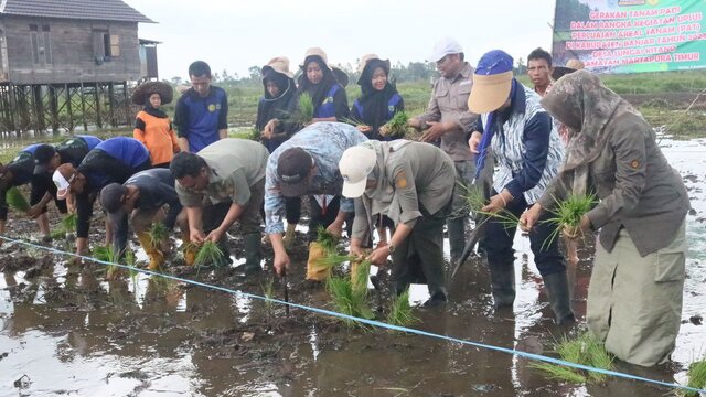 Kunker di Banjar, Kepala BPPSDMP Kementan Tanam Bersama dan Kunjungi UPJA