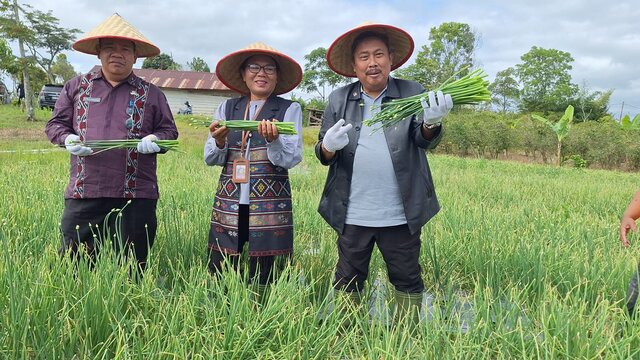 Sosialisasi Budidaya Berwawasan Lingkungan, Strategi Kementan Jaga Keberlanjutan Swasembada Bawang Merah