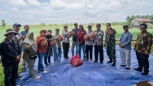 Dukungan Penuh Kementerian Pertanian untuk Kabupaten Mukomuko Menjadi Penyangga Bawang Merah di Pulau Sumatera