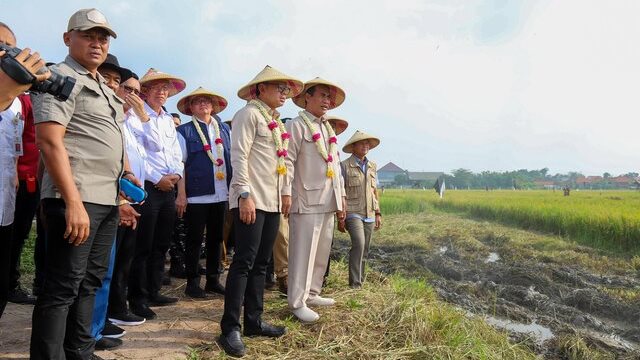 Panen Padi Meningkat di Bangkalan, Mentan dan Wamendagri Optimis Capai Swasembada Pangan Secepatnya