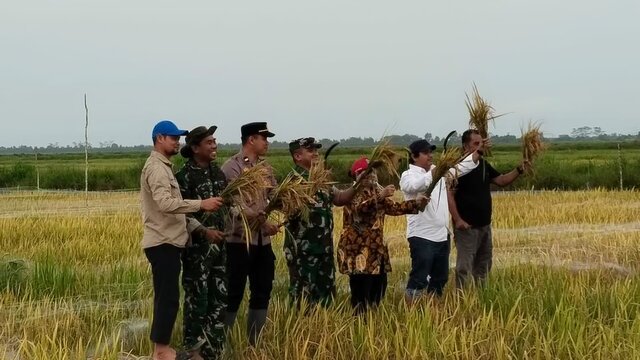 Panen Perdana di Lahan Baru Dadahup, Bukti Nyata Keberhasilan Ekstensifikasi Lahan Pertanian